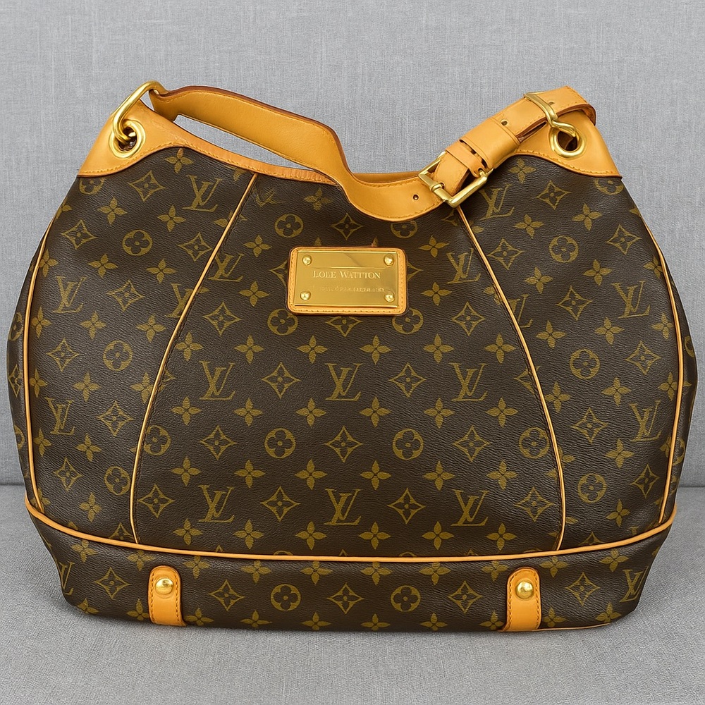 Louis Vuitton Brown and Tan Monogram Hobo Bag